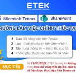 ETEK thống nhất Teams & SharePoint là môi trường làm việc chính thức